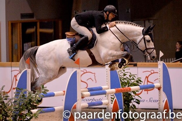 Cigaret & Kingston winnen hengstencompetitie