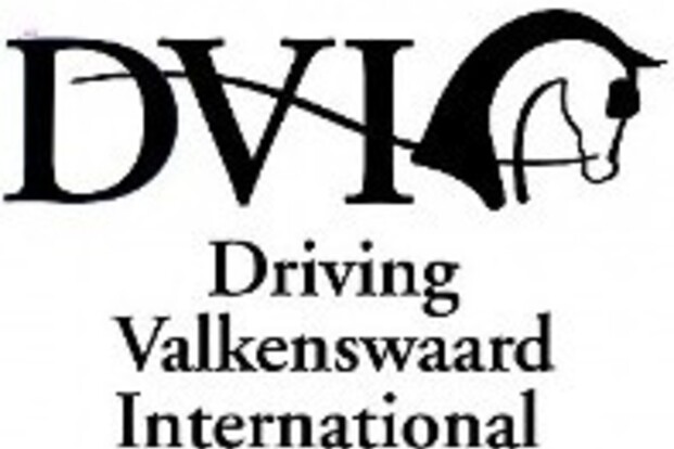 Landenwedstrijd vierspannen 2018 in Valkenswaard