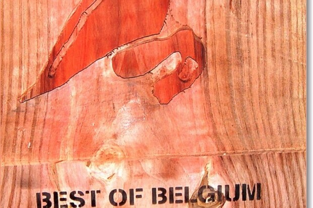 Terugblik Best of Belgium-Dressage 2014
