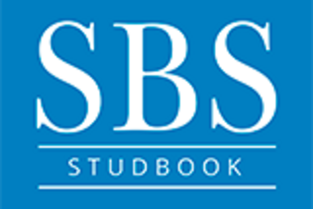 13 nieuwe hengsten goedgekeurd door het SBS
