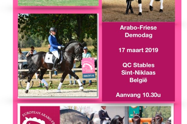 Arabo-Friese Demodag – QC Stables – 17 maart 2019 Arabo-Friese Demodag – QC Stables – 17 maart 2019