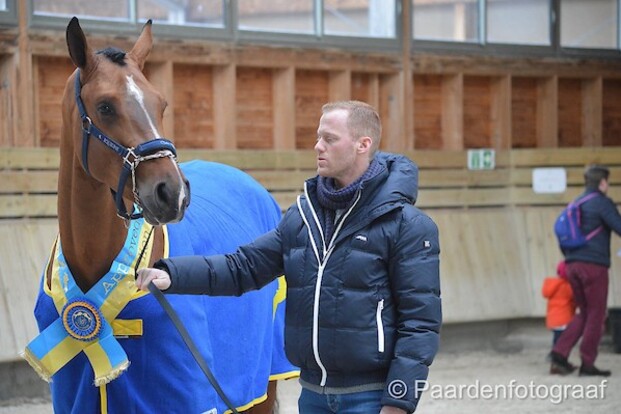 Niels Bruynseels als hengstenhouder?