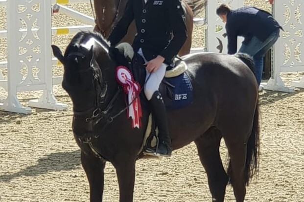 CSI2* Sevilla: Spits domineert rankingproef! CSI2* Sevilla: Spits domineert rankingproef!