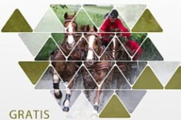Dossier Horst (NED) CAI-A4, CAI-B2, Para, CAN - 19-21/04/2013