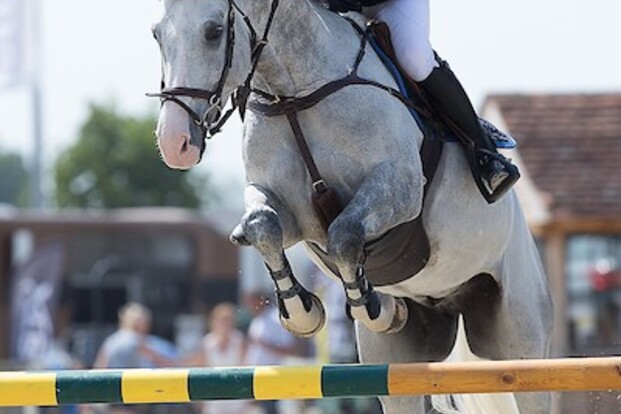 CSI2* Oliva: Ook J. Schmidt snelt naar winst