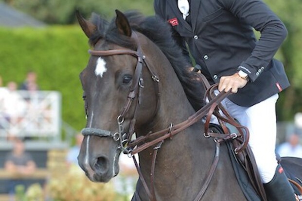 CSI2* Oliva: van Paesschen wint Rankingproef