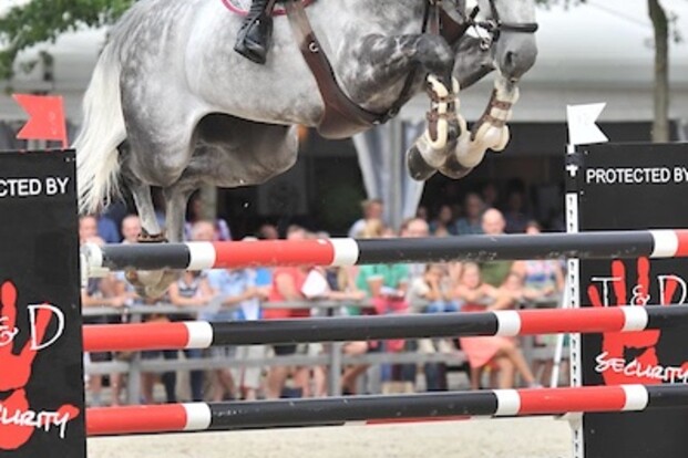 Starhorses stopt ermee...