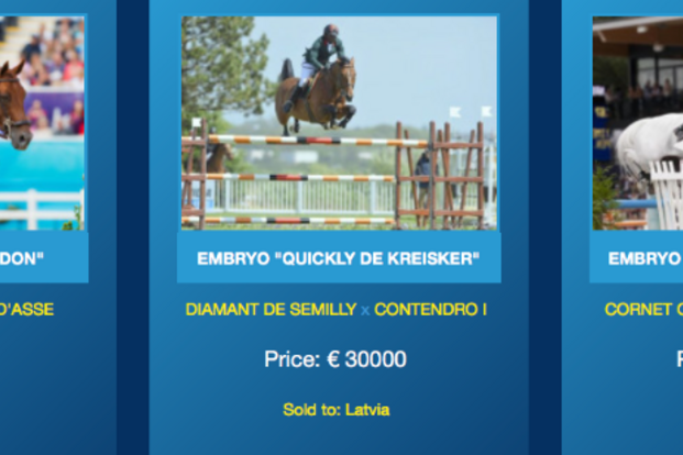 70,000 euro voor embryo op Z-online Auction 70,000 euro voor embryo op Z-online Auction
