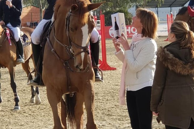 CSI2* Sevilla: Thibeau Spits wint opnieuw! CSI2* Sevilla: Thibeau Spits wint opnieuw!