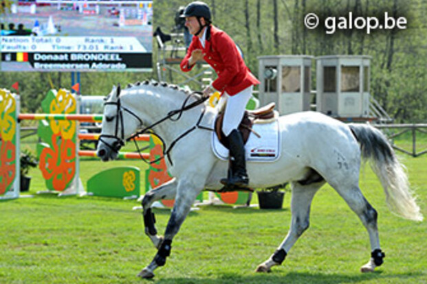 Adorado wint Rankingproef