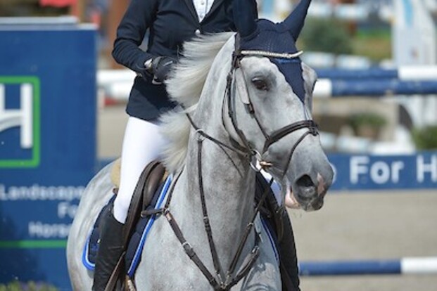 CSIYH1* Lier: Andere dag, zelfde winnaars… CSIYH1* Lier: Andere dag, zelfde winnaars…