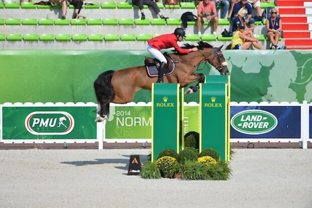 CSI2* Sharjah: Grote Prijs voor Hamcho CSI2* Sharjah: Grote Prijs voor Hamcho