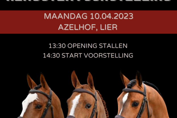 T&L Henstenvoorstelling - Paasmaandag 10/04/2023, te Azelhof Lier T&L Henstenvoorstelling - Paasmaandag 10/04/2023, te Azelhof Lier