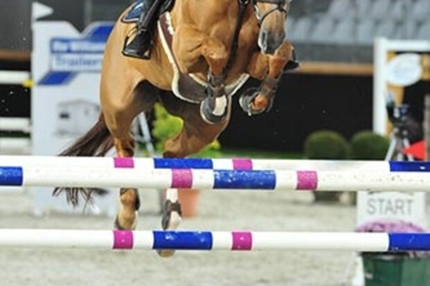 Wilm Vermeir wint op eigen concours