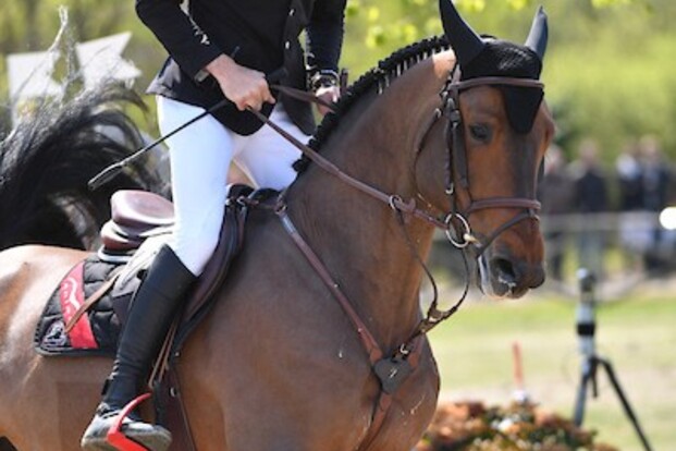 CSI2 Oliva: Opnieuw winst voor van Paesschen