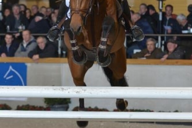 Appelen & Taeijmans winnen bij jonge paarden