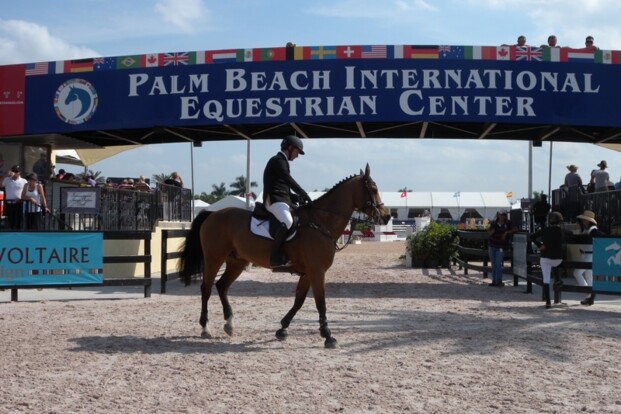 BWP'er Fedor vierde in CSI3* GP Wellington BWP'er Fedor vierde in CSI3* GP Wellington
