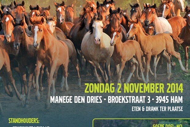 2de hands beurs - manege Den Dries