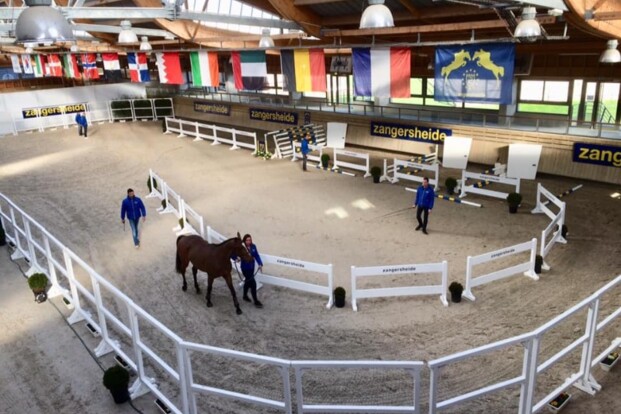 Deauville: 15 nieuwe Z-gekeurde hengsten Deauville: 15 nieuwe Z-gekeurde hengsten