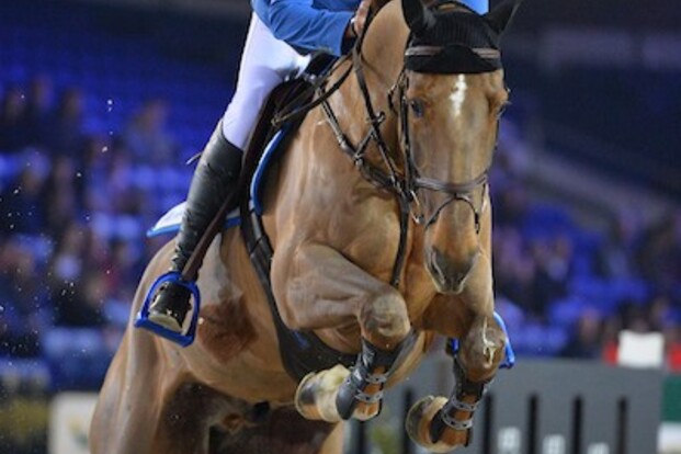 CSI5* Leipzig: Ahlmann wint het Championat!