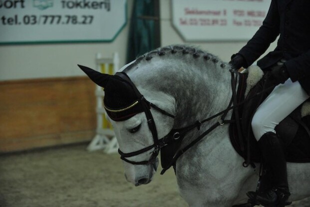 CSI1* Drachten: Davy Meijer wordt 7de CSI1* Drachten: Davy Meijer wordt 7de