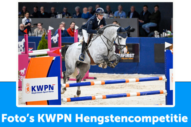Foto's Hengstencompetitie KWPN online!