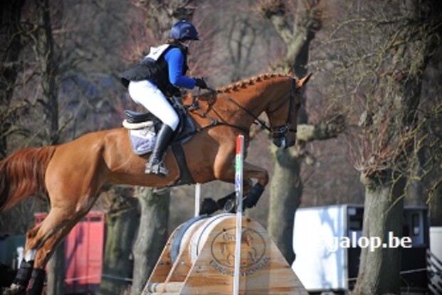 LRV Eventingseizoen gestart: Van Dooren en Van Den Broeck eerste winnaars