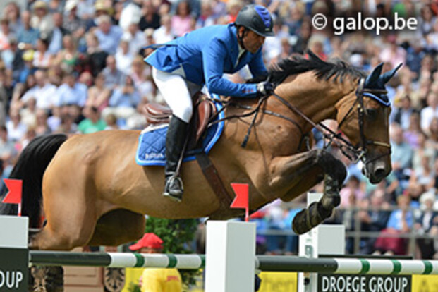 Belgische stamboeken vullen podium FTI Final Wellington
