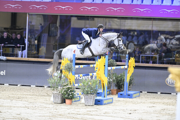 Peter Boelens wint in de STX Cyclus voor 6-jarige paarden