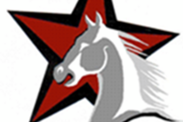 Starhorses is op zoek naar een...