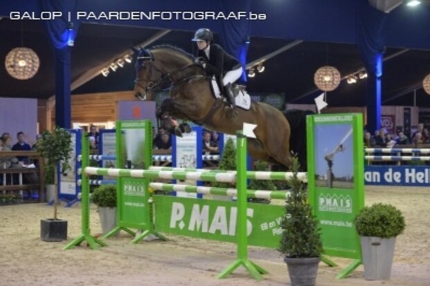 Zaterdag Pavo Competitie met 140 hengsten