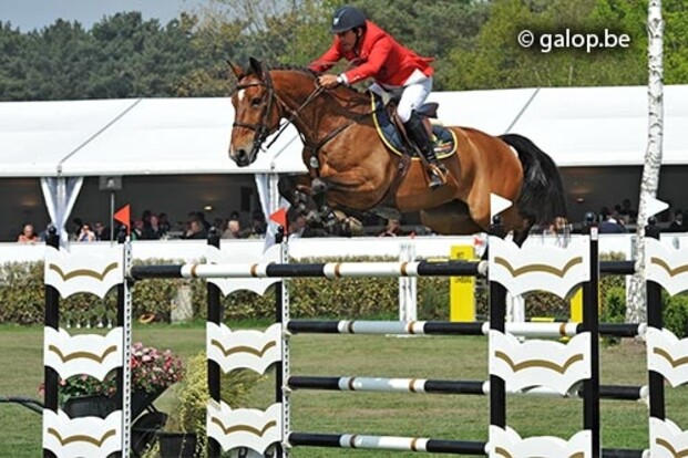 Horse Auction Belgium gaat voor Kwaliteit Horse Auction Belgium gaat voor Kwaliteit