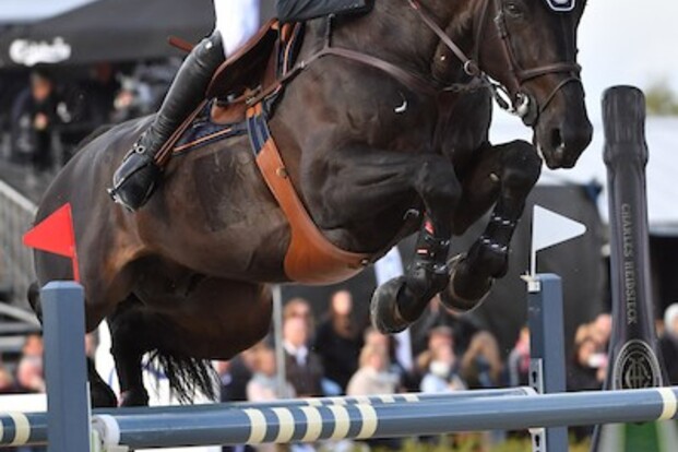 Wathelet en Iron Man tweede in GP