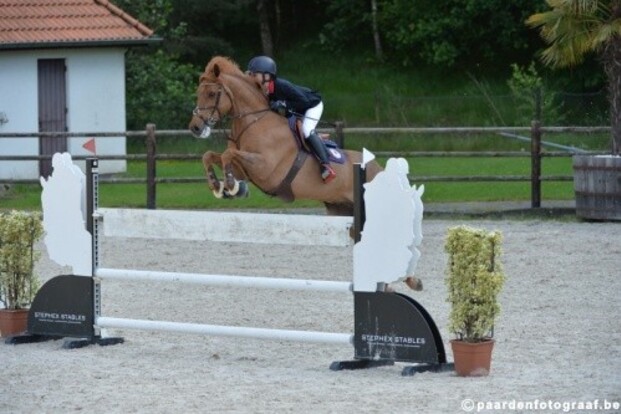 Belgisch ponyteam 3e in landenprijs Chevenez