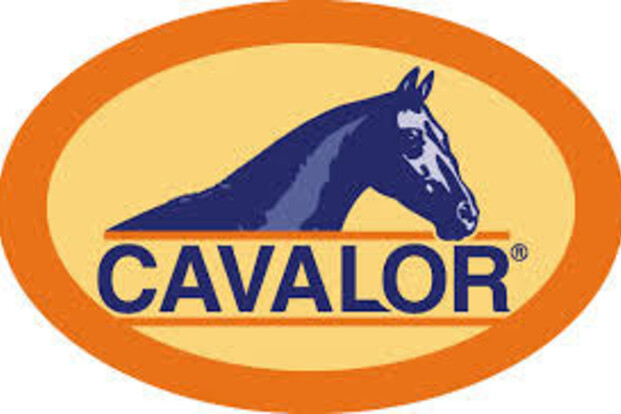 Cavalor huldigt Salinero voor zijn fantastische carrière samen met Anky Van Grunsven!