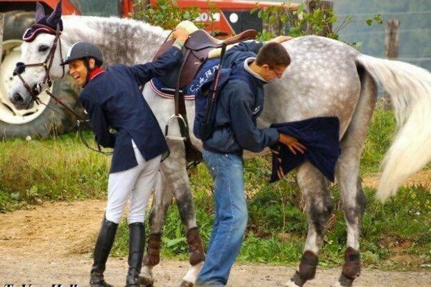 Professionele groom gezocht!