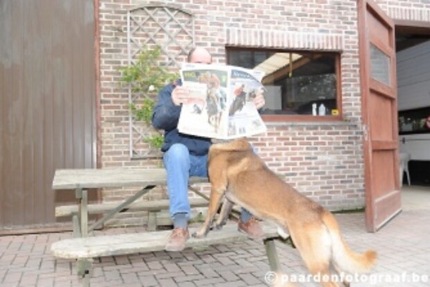 Veel hengsten in nieuwe Haverklap