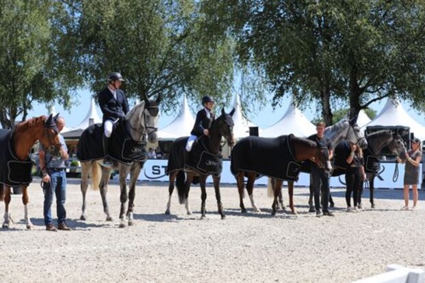 Hengsten met de meeste jonge springpaarden in 2023 Hengsten met de meeste jonge springpaarden in 2023