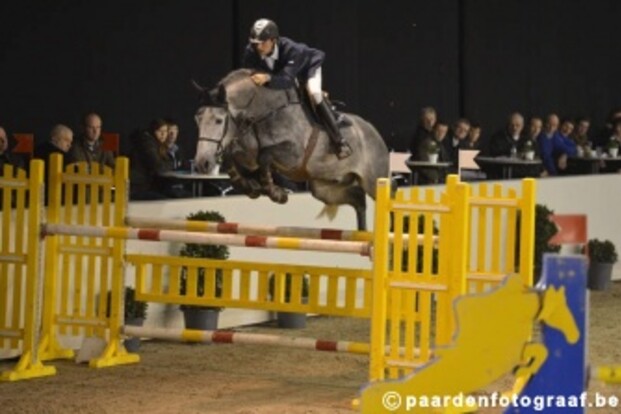 Pavo Hengstencompetitie: Geslaagde permiere in Gesves