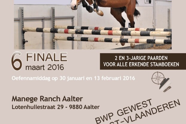 Data “Open Kampioenschap Vrijspringen 2016”