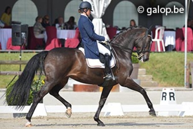 Derde plaats voor Fassaert in GP Special
