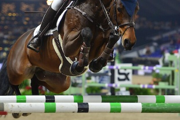 CSI2* Kronenberg: van de Poel op het podium!