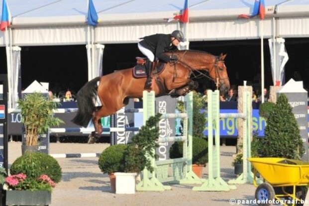 Homer de Rêve naar Stephex Stables Homer de Rêve naar Stephex Stables