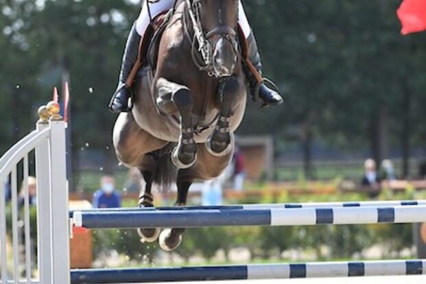 België pas 8e in CSIO Praag