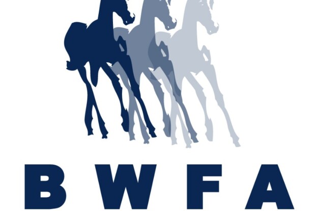 BWFA 20 Jaar Jong, kiest voor de vernieuwing