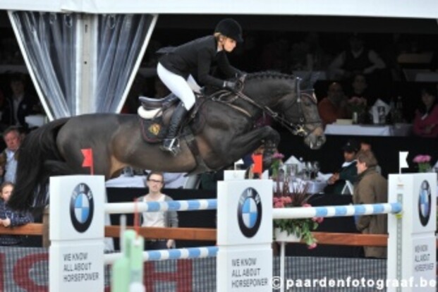 Wereldtopper op hengstenshow Roshoeve