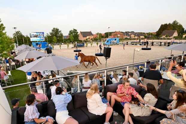 €56.000 voor Chacline JT Z op Zangersheide €56.000 voor Chacline JT Z op Zangersheide
