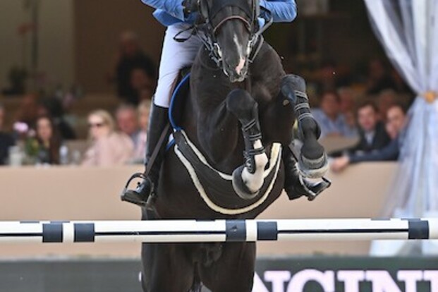 Dominator 2000 Z wint GCT GP Stockholm