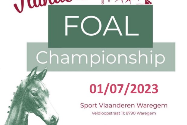 BWP Leiestreek organiseert Flanders Foal Championship 2023
