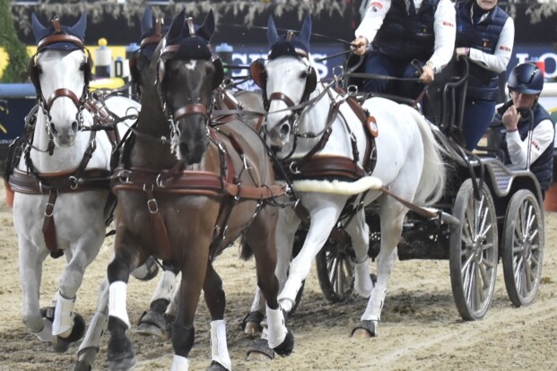Glenn Geerts naar WB finale in Bordeaux